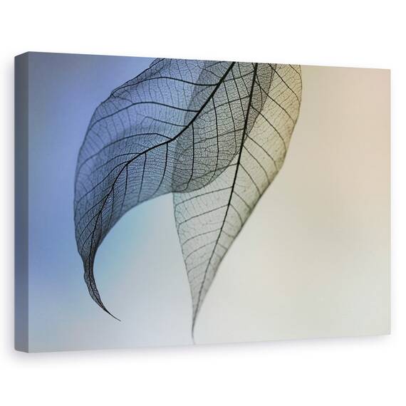 Tablou Canvas - Cavatina, Marime: 80 x 120 cm - - Roveli