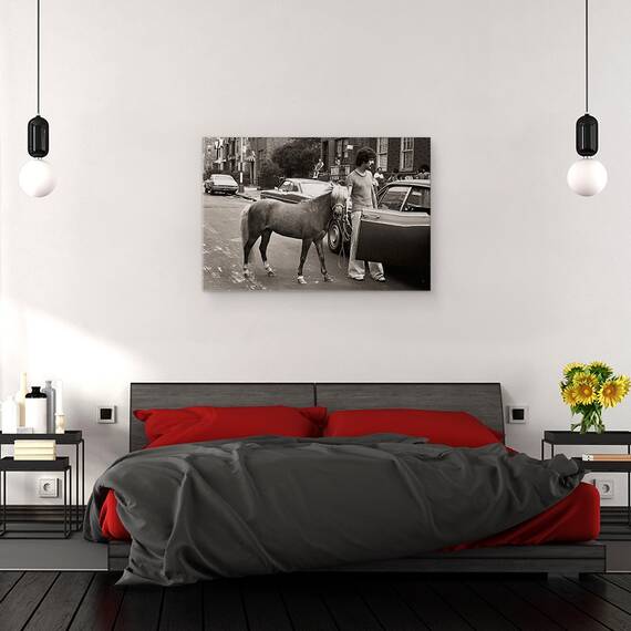 Tablou Canvas - Chiar Incearca Sa Ma Integreze Acolo Din Nou, Marime: 80 x 120 cm - 3- Roveli