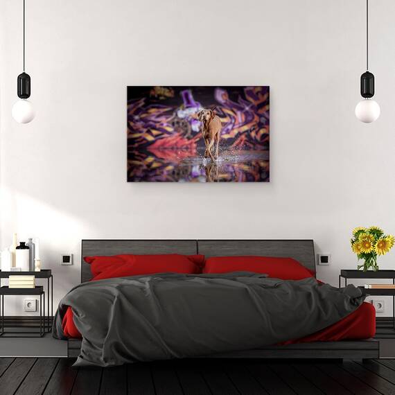 Tablou Canvas - Dansator In Intuneric, Marime: 80 x 120 cm - 3- Roveli
