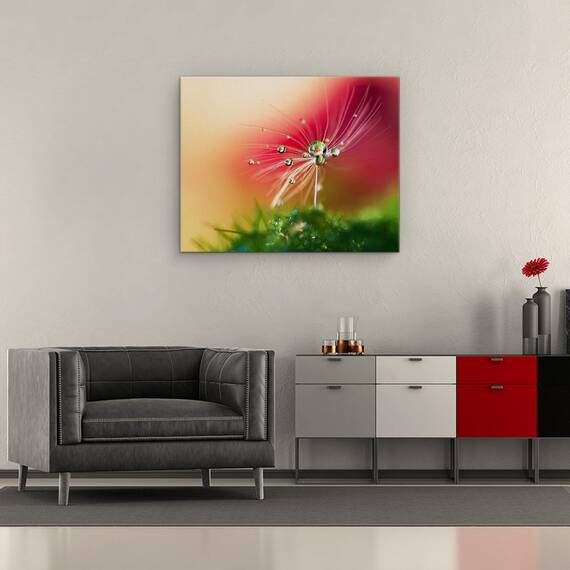 Tablou Canvas - Dimineata Rosie, Seminte, Picatura, Bland, Delicat, Marime: 40 x 50 cm - 2- Roveli