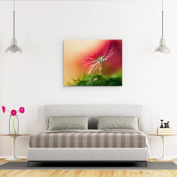 Tablou Canvas - Dimineata Rosie, Seminte, Picatura, Bland, Delicat, Marime: 40 x 50 cm - 3- Roveli