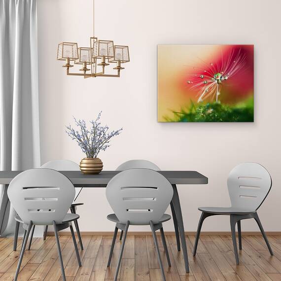 Tablou Canvas - Dimineata Rosie, Seminte, Picatura, Bland, Delicat, Marime: 40 x 50 cm - 4- Roveli