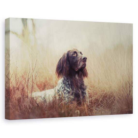Tablou Canvas - Frumoasa Aragorn, Marime: 80 x 120 cm - - Roveli