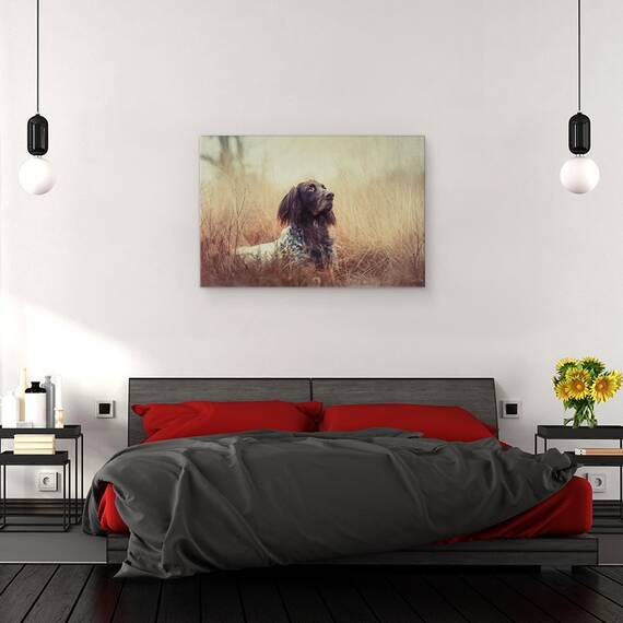 Tablou Canvas - Frumoasa Aragorn, Marime: 80 x 120 cm - 3- Roveli