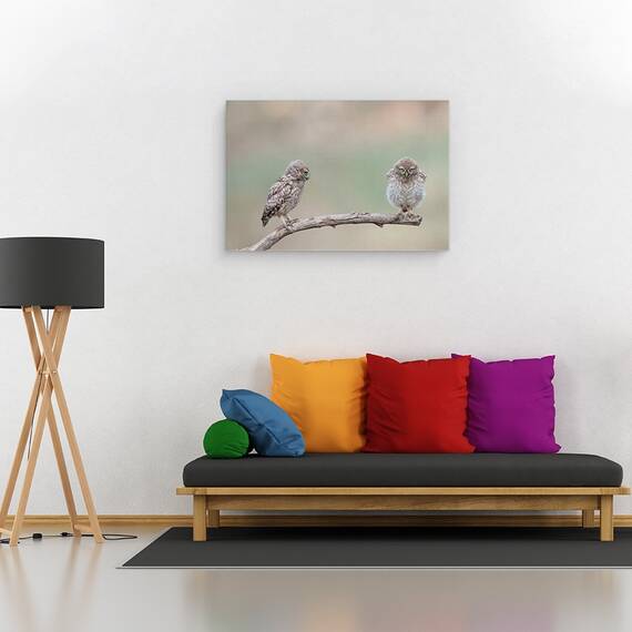 Tablou Canvas - Gagica Mea, Marime: 80 x 120 cm - 2- Roveli