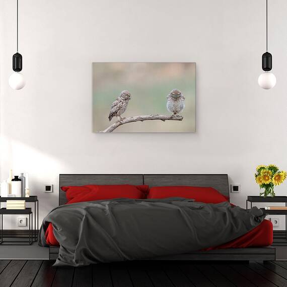 Tablou Canvas - Gagica Mea, Marime: 80 x 120 cm - 3- Roveli