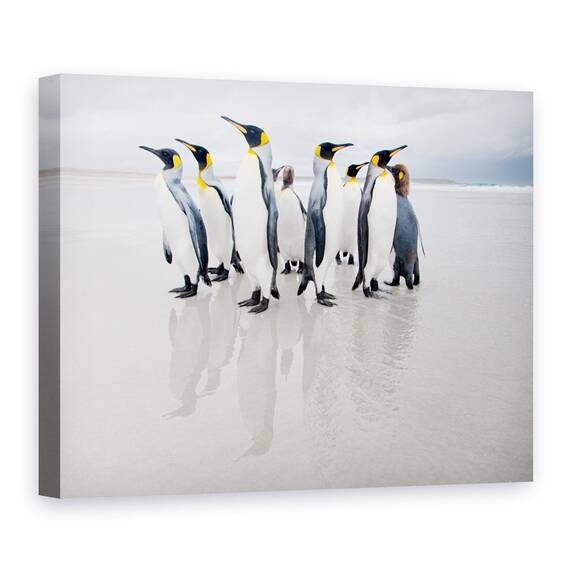 Tablou Canvas - Garda De Corp, Natura, Animal, Pinguin, Salbatic, Plaja, Marime: 60 x 80 cm - - Roveli