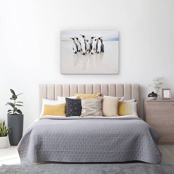 Tablou Canvas - Garda De Corp, Natura, Animal, Pinguin, Salbatic, Plaja, Marime: 60 x 80 cm - 3- Roveli