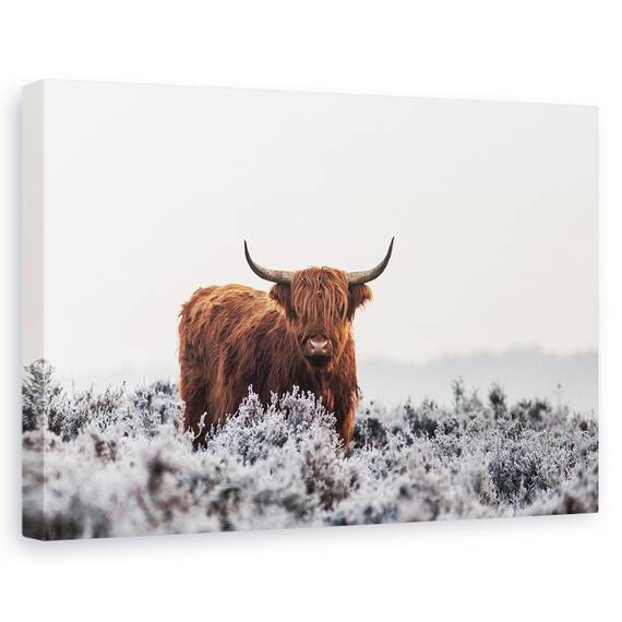 Tablou Canvas - Highlander, Marime: 80 x 120 cm - - Roveli