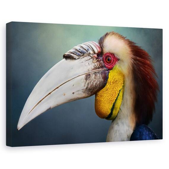 Tablou Canvas - Jabrix, Marime: 80 x 120 cm - - Roveli