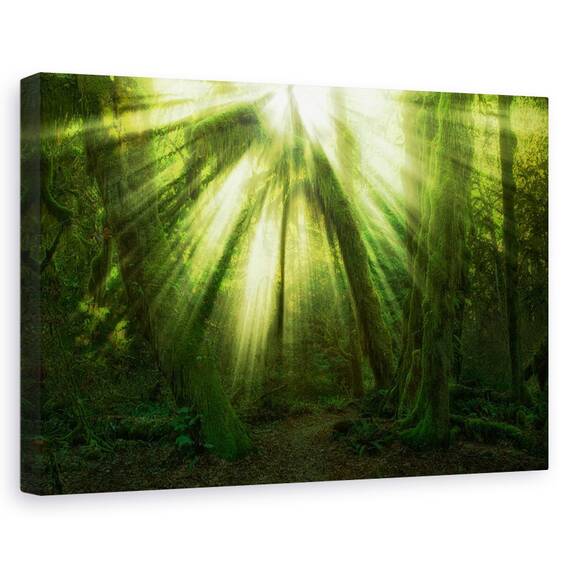 Tablou Canvas - Miracolul, Marime: 80 x 120 cm - - Roveli