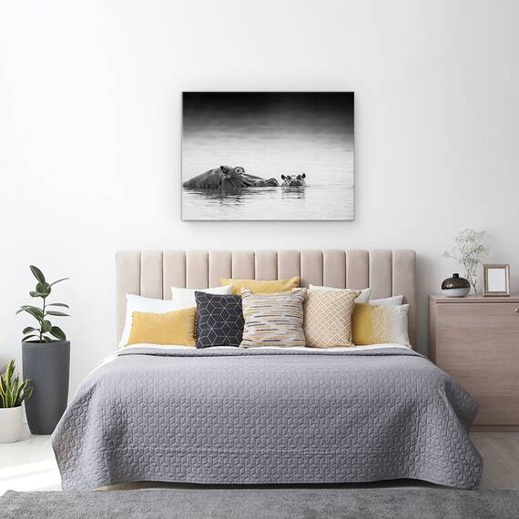 Tablou Canvas - Nivelul Ochilor, Hipopotam, Marime: 60 x 80 cm - 3- Roveli