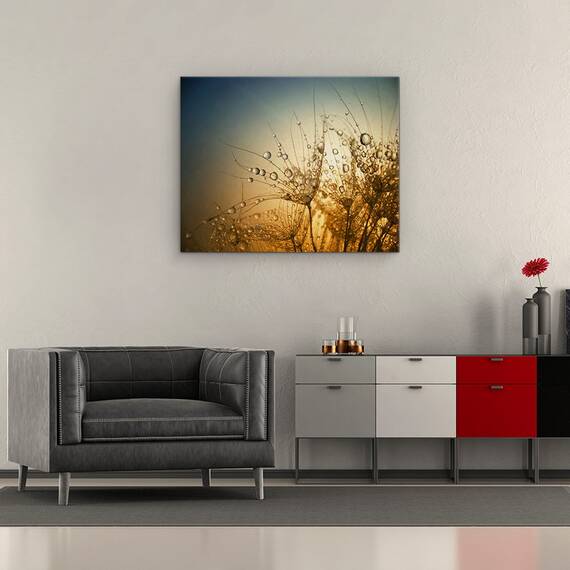 Tablou Canvas - Noapte Tandra,Picatura, Apa, Umed, Bland, Marime: 40 x 50 cm - 2- Roveli