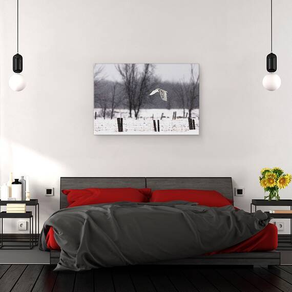 Tablou Canvas - O Bufnita De Zapada, Marime: 80 x 120 cm - 3- Roveli