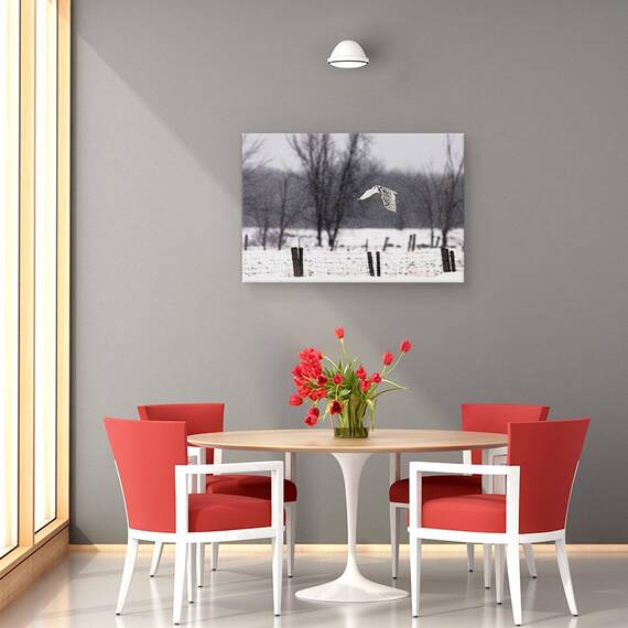 Tablou Canvas - O Bufnita De Zapada, Marime: 80 x 120 cm - 4- Roveli