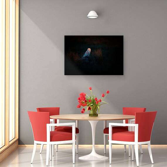 Tablou Canvas - Observatorul, Marime: 80 x 120 cm - 4- Roveli
