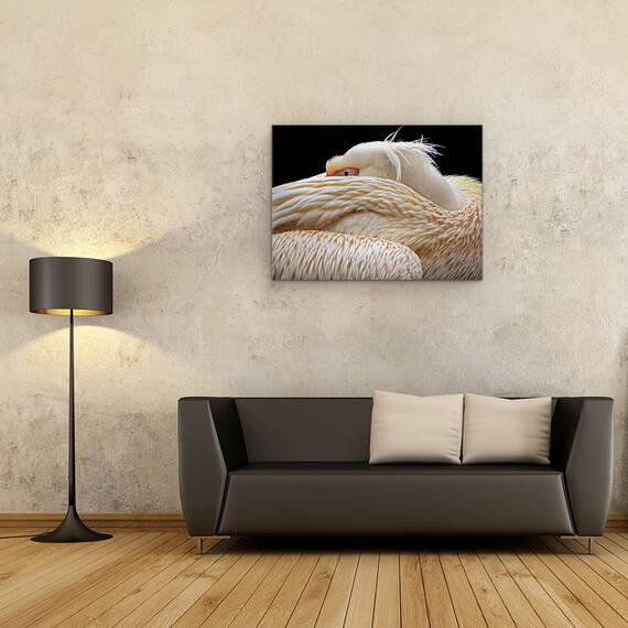 Tablou Canvas - Pe Jumatate Adormit, Pelican, Pasare, Animal, Ochi, Abstract, Marime: 60 x 80 cm - 2- Roveli