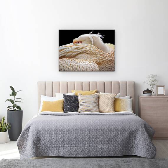Tablou Canvas - Pe Jumatate Adormit, Pelican, Pasare, Animal, Ochi, Abstract, Marime: 60 x 80 cm - 3- Roveli
