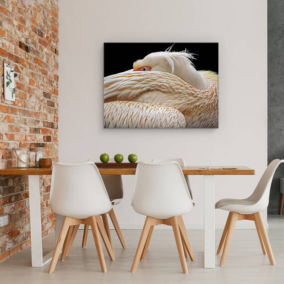 Tablou Canvas - Pe Jumatate Adormit, Pelican, Pasare, Animal, Ochi, Abstract, Marime: 60 x 80 cm - 4- Roveli