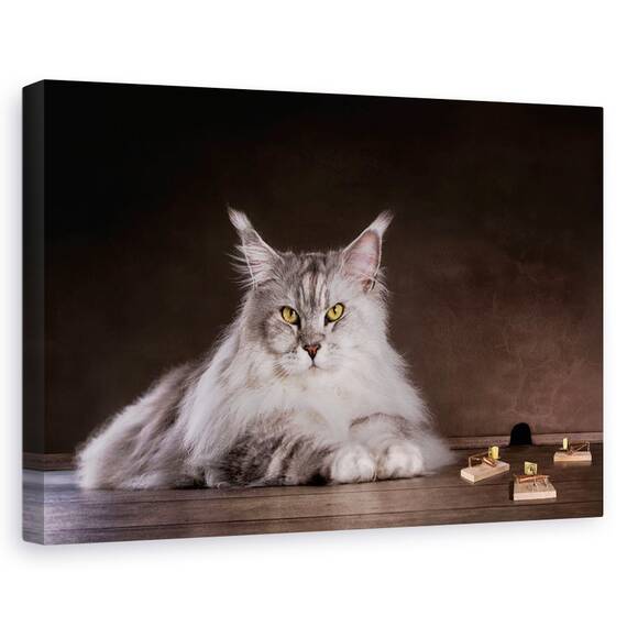 Tablou Canvas - Prinde-Ma Daca Poti, Marime: 80 x 120 cm - - Roveli