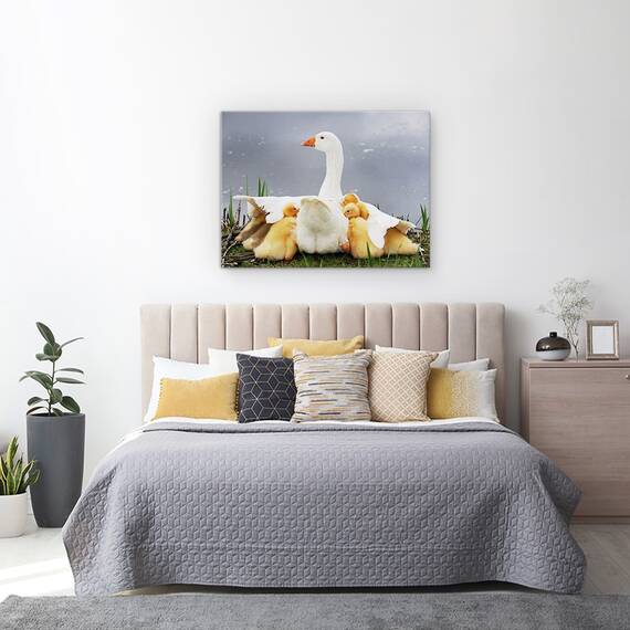 Tablou Canvas - Protectia Mamei, Gasca, Pui, Marime: 60 x 80 cm - 3- Roveli
