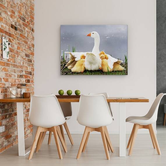 Tablou Canvas - Protectia Mamei, Gasca, Pui, Marime: 60 x 80 cm - 4- Roveli