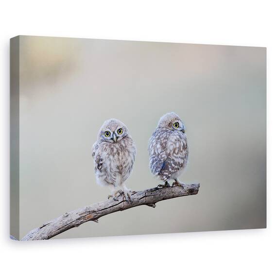 Tablou Canvas - Salbatic, Marime: 80 x 120 cm - - Roveli