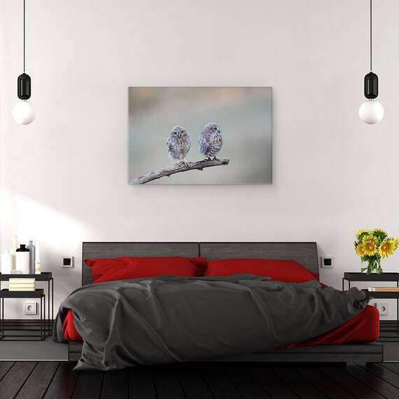 Tablou Canvas - Salbatic, Marime: 80 x 120 cm - 3- Roveli