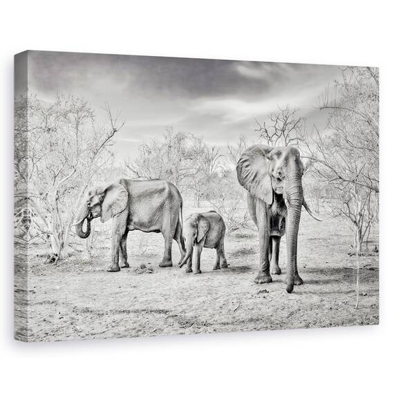 Tablou Canvas - Sezon Uscat, Marime: 80 x 120 cm - - Roveli