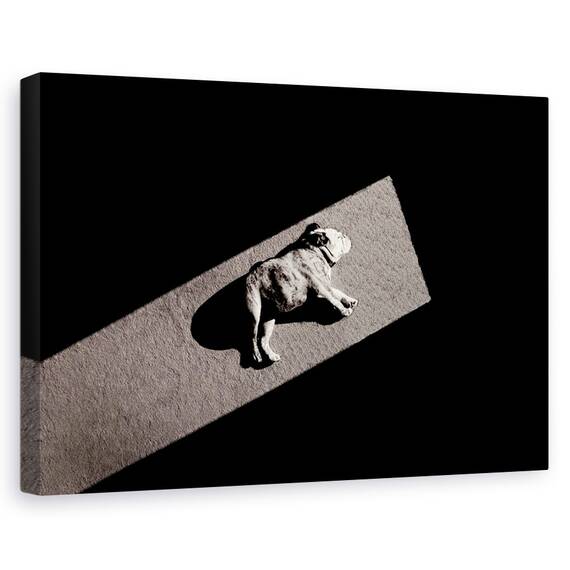 Tablou Canvas - Solar Nealimentat, Marime: 80 x 120 cm - - Roveli