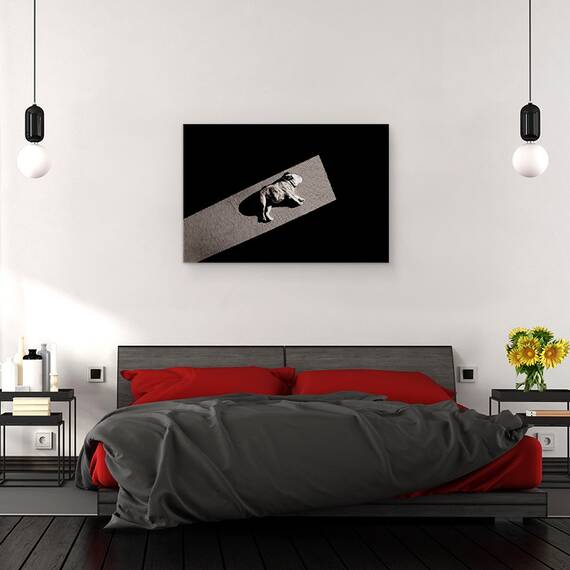 Tablou Canvas - Solar Nealimentat, Marime: 80 x 120 cm - 3- Roveli