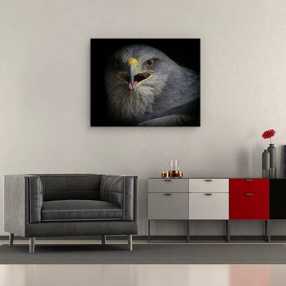 Tablou Canvas - Strigat De Razboi, Natura, Pasare, Vultur, Ochi, Agape, Cioc, Marime: 40 x 50 cm - 2- Roveli