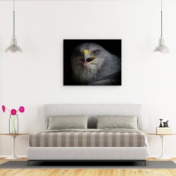 Tablou Canvas - Strigat De Razboi, Natura, Pasare, Vultur, Ochi, Agape, Cioc, Marime: 40 x 50 cm - 3- Roveli