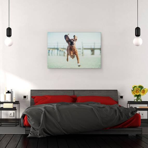 Tablou Canvas - Sus, Pana La Cer, Marime: 80 x 120 cm - 3- Roveli