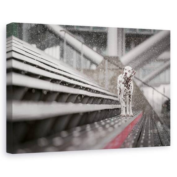 Tablou Canvas - Uneori Ninge In Aprilie, Marime: 80 x 120 cm - - Roveli