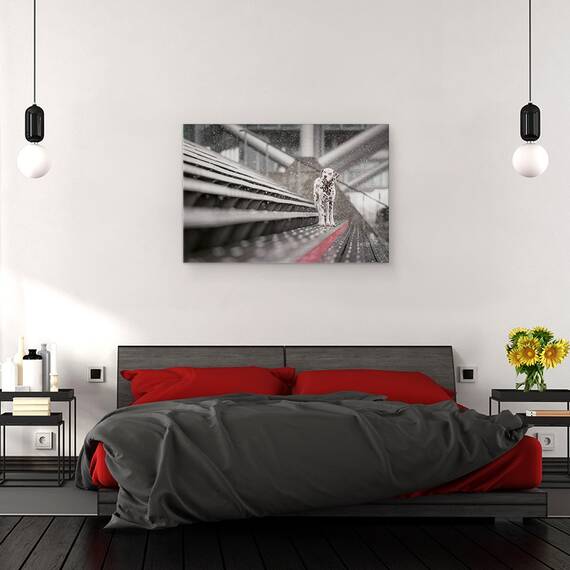 Tablou Canvas - Uneori Ninge In Aprilie, Marime: 80 x 120 cm - 3- Roveli