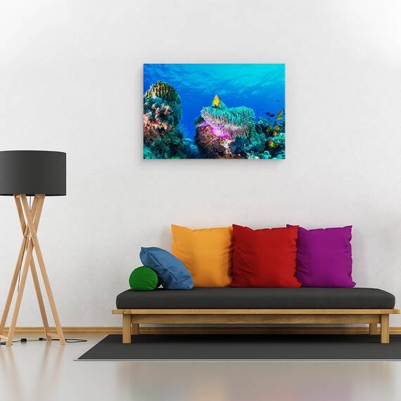 Tablou Canvas - Viata Maritima, Marime: 80 x 120 cm - 2- Roveli