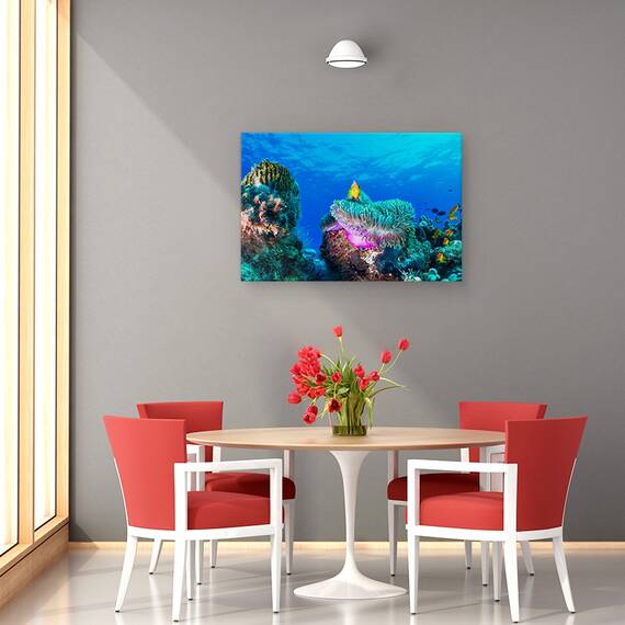 Tablou Canvas - Viata Maritima, Marime: 80 x 120 cm - 4- Roveli