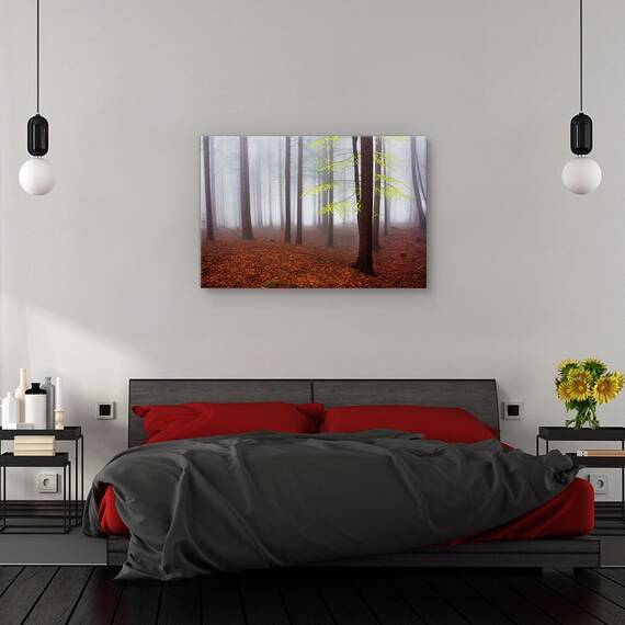 Tablou canvas - Abia trezit, Peisaj, Padure, Albastru, Ceata, Marime: 40 x 60 cm - 3- Roveli