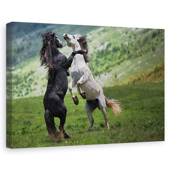 Tablou canvas - Lumea lui Alice, Portret, Femeie, Stralucire, Buze, Marime: 60 x 90 cm - - Roveli