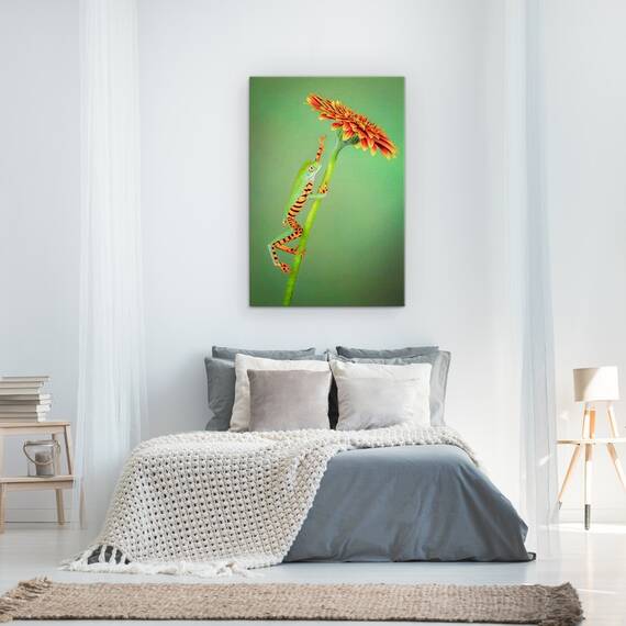 Tablou Canvas - Alpinist, Broasca, Urca, Floare, Gerbera, Animale, Marime: 60 x 90 cm - 3- Roveli