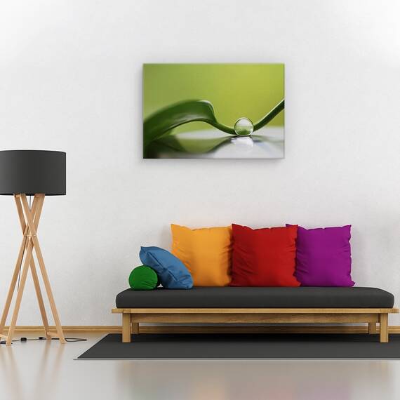 Tablou canvas - Armonie verde, Natura moarta, Frunza, Verde, Reflectie, Marime: 40 x 60 cm - 2- Roveli
