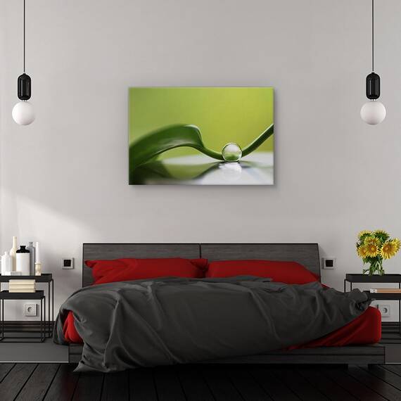 Tablou canvas - Armonie verde, Natura moarta, Frunza, Verde, Reflectie, Marime: 40 x 60 cm - 3- Roveli