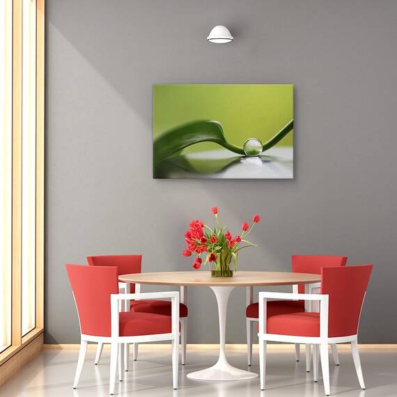 Tablou canvas - Armonie verde, Natura moarta, Frunza, Verde, Reflectie, Marime: 40 x 60 cm - 4- Roveli