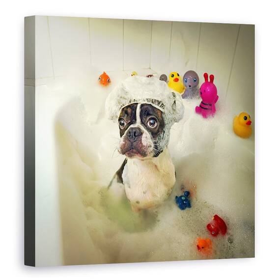 Tablou Canvas - Baie, Spalare, Spuma, Rata, Dragut, Marime: 60 x 60 cm - - Roveli