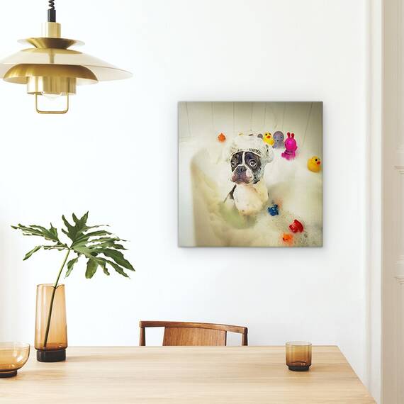 Tablou Canvas - Baie, Spalare, Spuma, Rata, Dragut, Marime: 60 x 60 cm - 4- Roveli