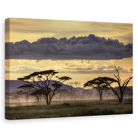 Tablou canvas - Buna seara, Tanzania, Peisaj, Copac, Ceata, Africa, Marime: 40 x 60 cm - - Roveli
