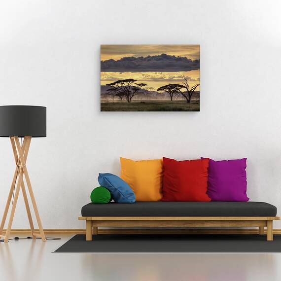 Tablou canvas - Buna seara, Tanzania, Peisaj, Copac, Ceata, Africa, Marime: 40 x 60 cm - 2- Roveli