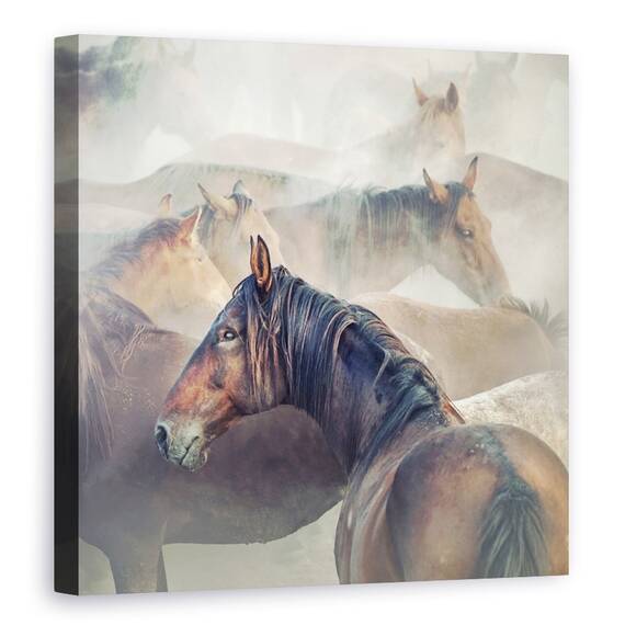 Tablou Canvas - Cai Obositi, Animale, Moale, Praf, Marime: 60 x 60 cm - - Roveli