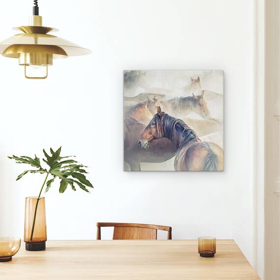Tablou Canvas - Cai Obositi, Animale, Moale, Praf, Marime: 60 x 60 cm - 4- Roveli